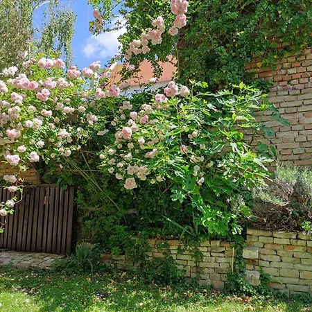 Appartamento Patak28 Sopron